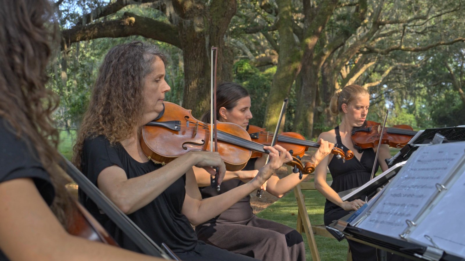 String Quartet